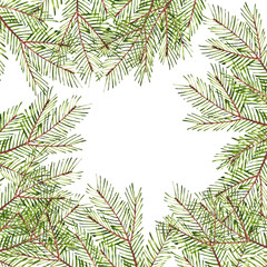 Pattern. Watercolor Christmas tree branches. Hand painted texture with fir-needle natural elements isolated on white background. Xmas paper.