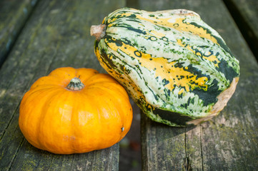 coloquintes, citrouilles et potimarron  pour décoration d' Halloween sur table en bois