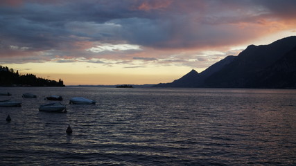 gARDASEE