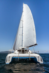 Luxury white catamaran