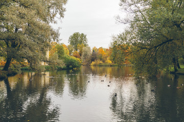 Fototapeta na wymiar park in the fall in St. Petersburg. Toned