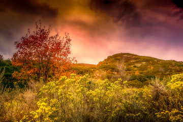 Foothills in Autumn with a stormy sky