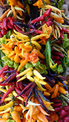 Assortiment de piments colorés