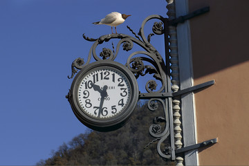 Fototapeta na wymiar .Lombardy, Como; a gull on the clock.