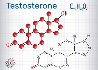 Testosterone (anabolic steroid.) - structural chemical formula and molecule model. Sheet of paper in a cage