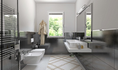 Bagno Domestico, Interior, Rendering, Illustrazione 3d, wc, sanitari, interior