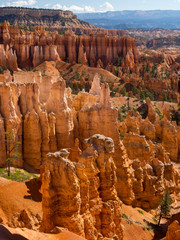 Hoodoo Rocks Landscape in Bryce Canyon