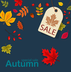 Sale autumn background with leaves