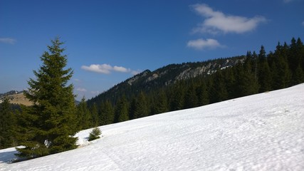 Nature covered by snow during winter. Slovakia