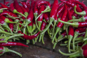 Chilli pepper on wooden background