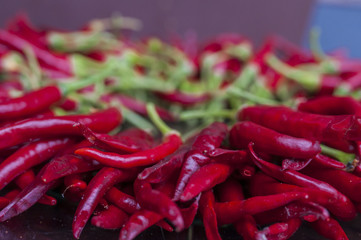 Chilli pepper on wooden background