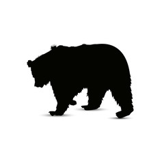 Obraz na płótnie Canvas Silhouette of brown bear.