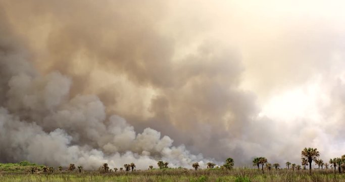 Wide shot of smoke billows from a wildfire