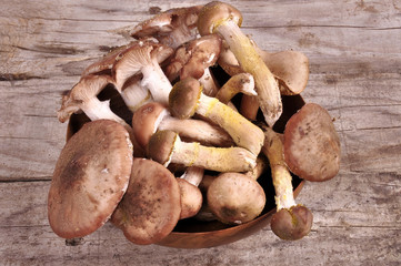Forest Edible Mushrooms In Wicker Basket On Old Wooden Board Top View.