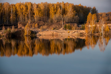 pond on the background of autumn forest