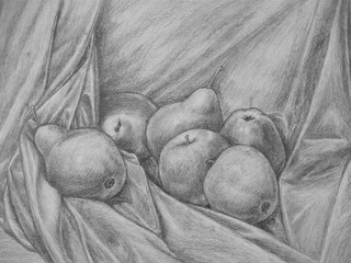 Still Life with apple and pear – pencil drawing