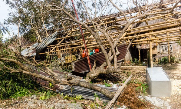 Wooden buildings completely destroyed by the passage of a major hurricane / super typhoon