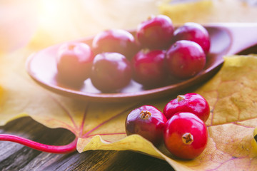 berries cranberries on a wooden spoon and a maple leaf with a shallow depth of field