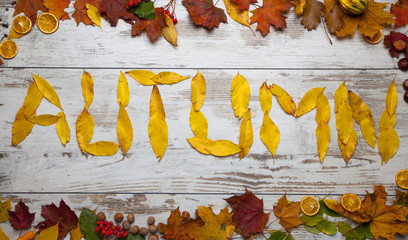 Fall, autumn background