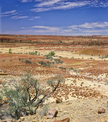 Diamantina Plain at Dingo Cave