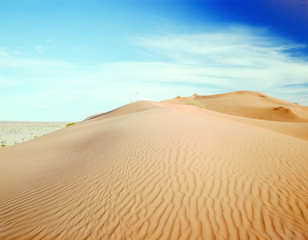Fototapeta na wymiar big red sand dune