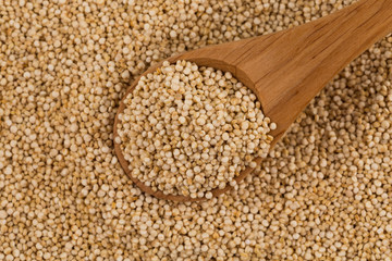 Quinoa seeds close up