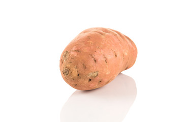 Sweet potato on the white background