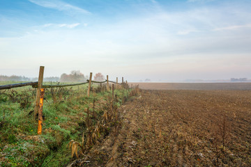 Fototapeta na wymiar Rural autumn landscape in foggy morning.