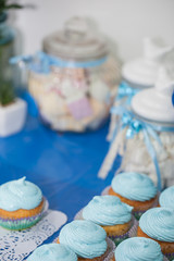 Closeup of blue cupcakes. Selective focus. Sweet dessert tasty food concept muffin baby shower treat. Sweettooth. Bakery