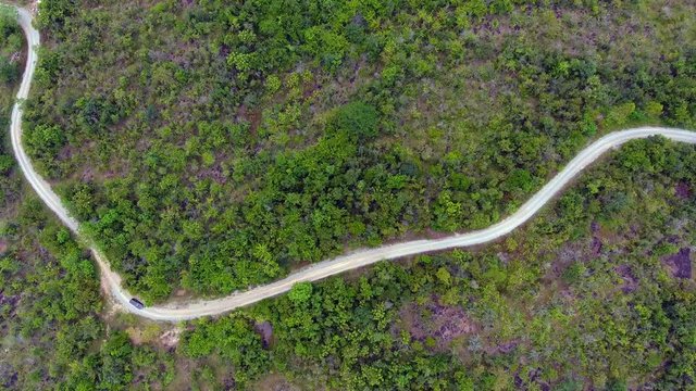 Aerial view of the road through forest.
