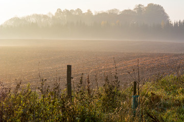 Misty meadow in the morning. Autumn landscape.