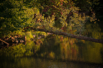 Late summer in Germany