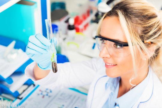 Young attractive female scientist examining test tube with a plant in the laboratory