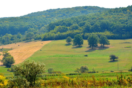 Typical rural landscape in the plains of Transylvania, Romania. Green landscape in the midsummer, in a sunny day