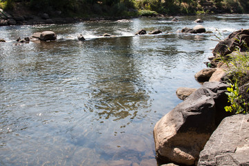 Fototapeta na wymiar Shore of the Animas river in Durango. Colorado