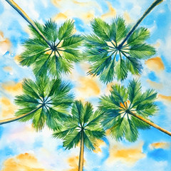 Fototapeta na wymiar Watercolor illustration of palms against blue sky with orange clouds at the sunset, bottom view.