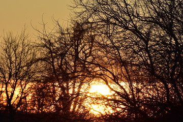 Fototapeta premium Sonnenuntergang