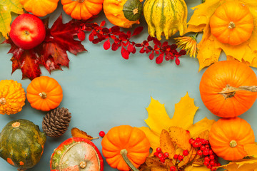 orange pumpkins harvest with fall leaves and berries frame on blue table with copy space