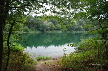Fototapeta na wymiar Beautiful landscape photo of lake in a forest