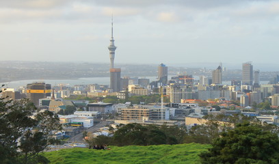 Fototapeta na wymiar picnic in front of Auckland skyline