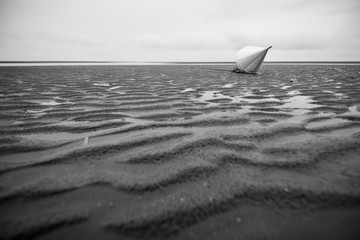 North Sea coast during low tide