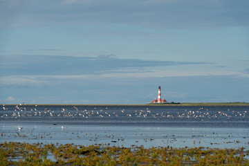 Westerheversand lighthouse, North Sea