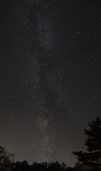 Naklejka premium The Milky Way at Six Mile Lake Provincial Park