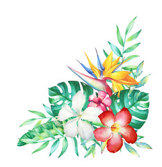 Watercolor composition with hand drawn tropical flowers and plants isolated on white background. 