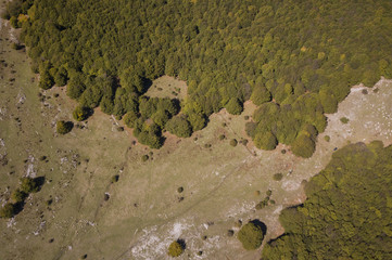 Aerial view of a beautiful mountain landscape with green and trees in a valley. Autumn season in Italy.