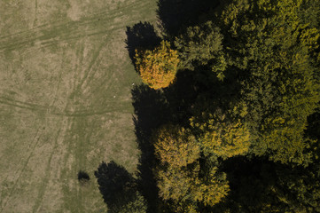Aerial view of a beautiful mountain landscape with green and yellow trees. Autumn season in Italy.