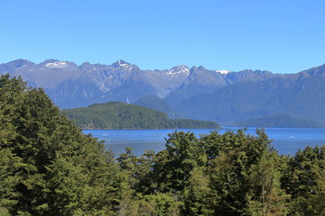 Fototapeta na wymiar New Zealand nature in Southland