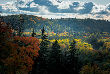  Picturesque view on valley of Gaujas national park. Trees changing colors in foothills.  Colorful Autumn day at city Sigulda in Latvia. 