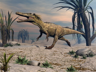 Austroraptor dinosaur walking -3D render