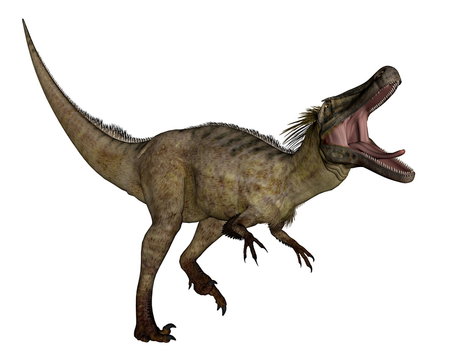 Austroraptor dinosaur -3D render